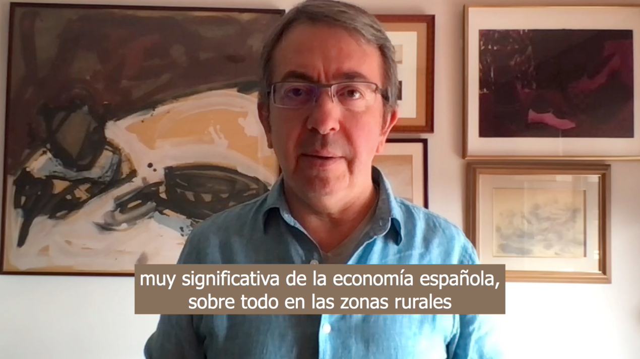 Ayudamos a los artesanos y pequeños productores españoles a exportar