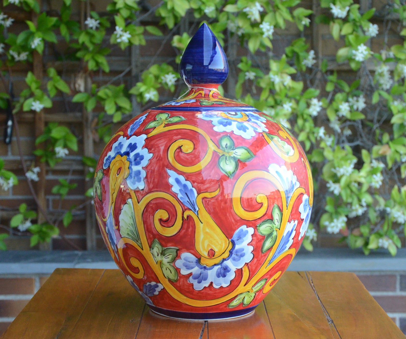 Multicolor Tibor (wide) from La Rambla, Spain